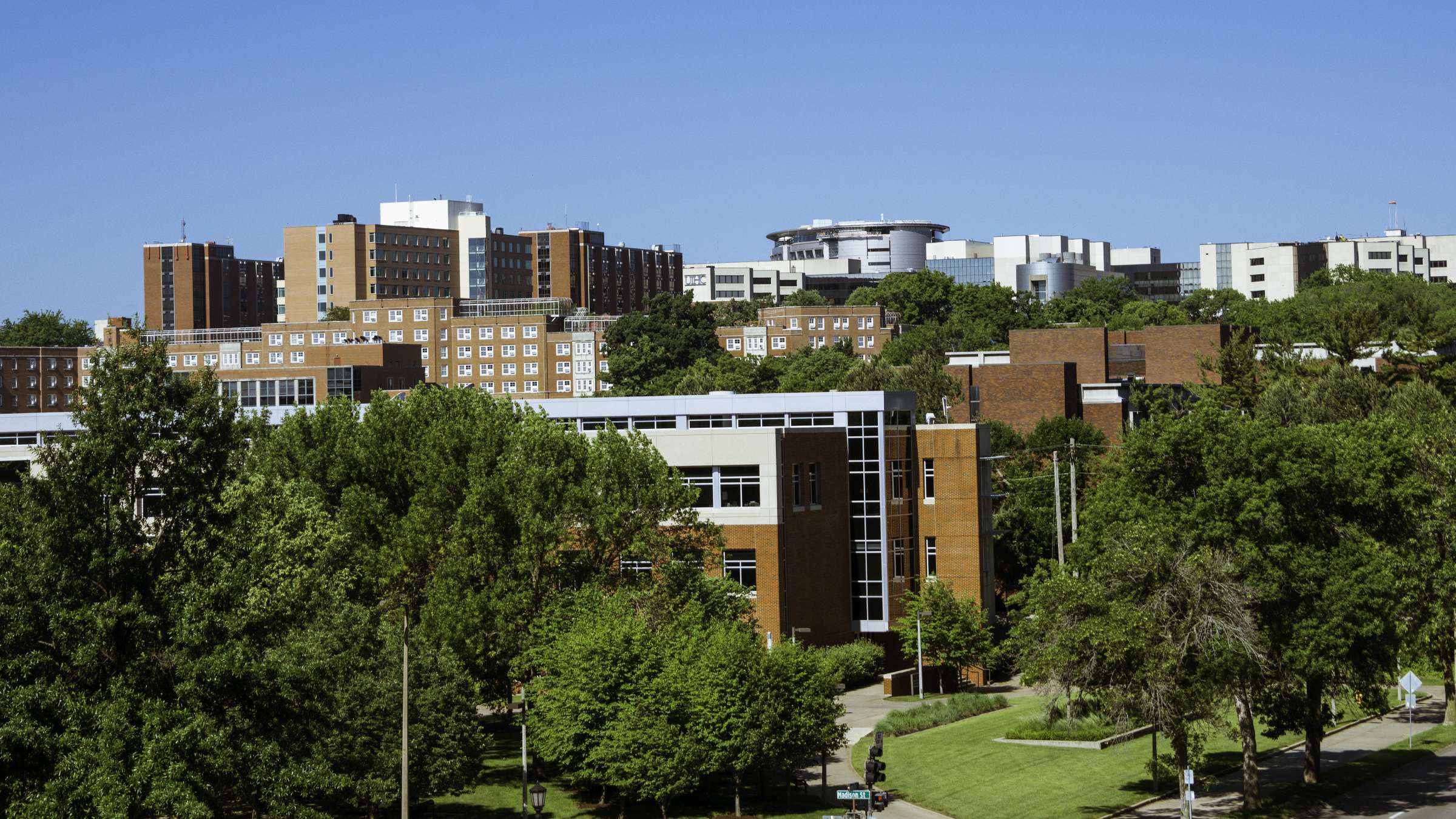 Buildings Landscape