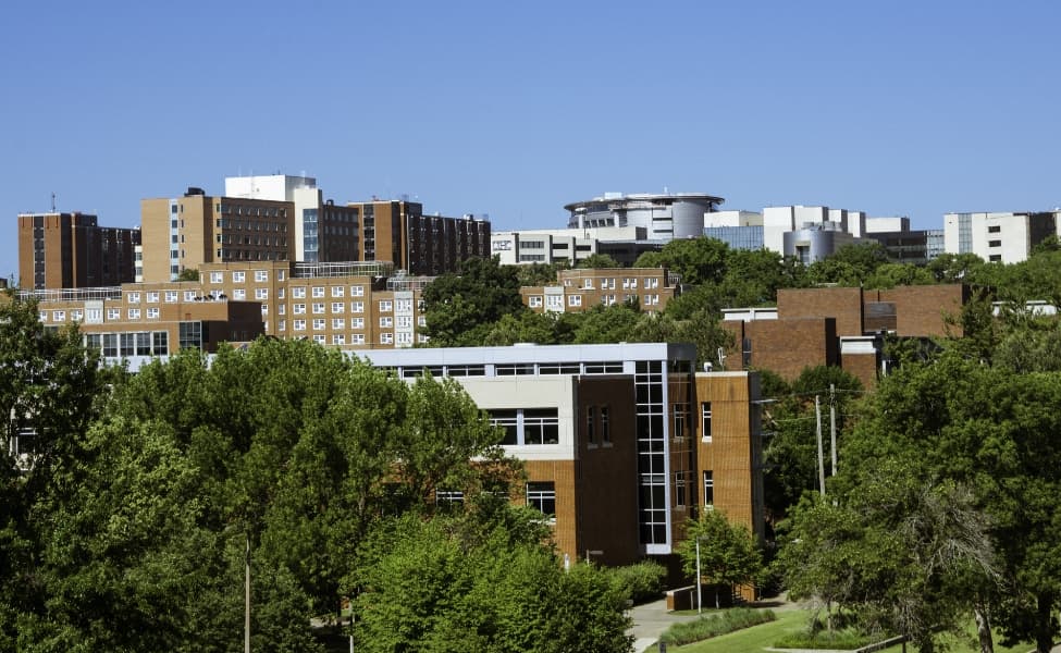 Buildings Landscape